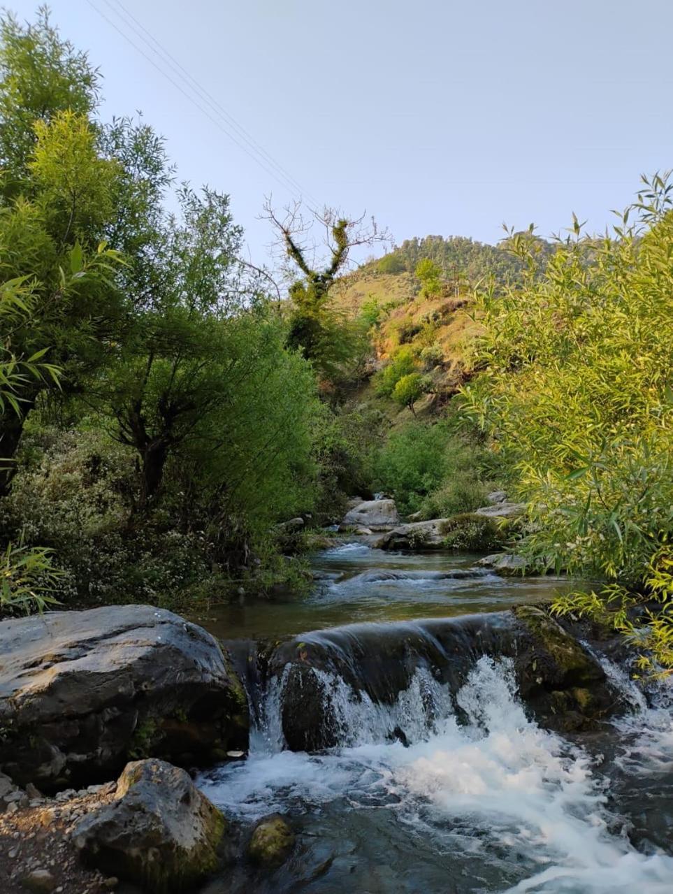Rivulet Resort & Camping 穆索里 外观 照片