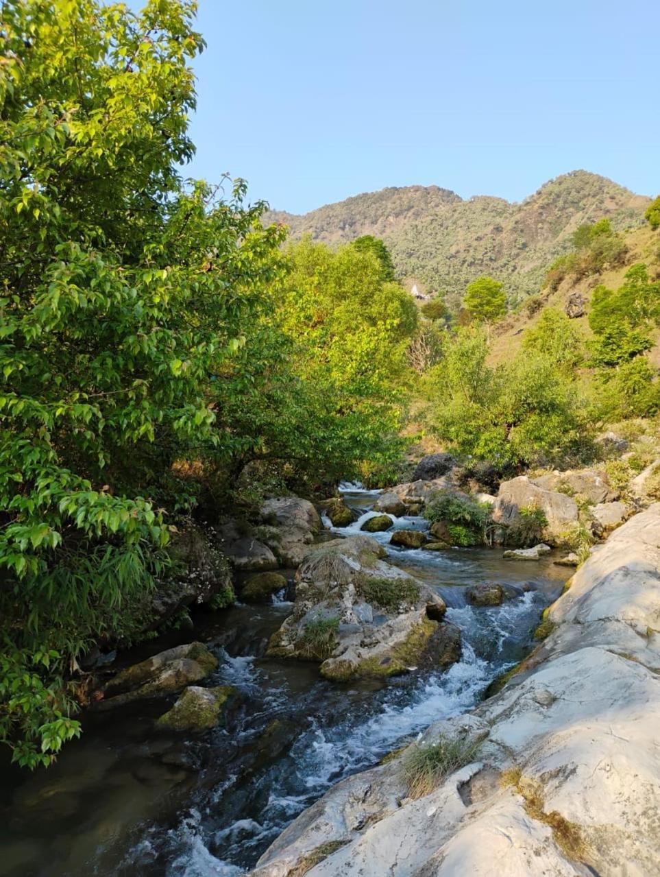 Rivulet Resort & Camping 穆索里 外观 照片