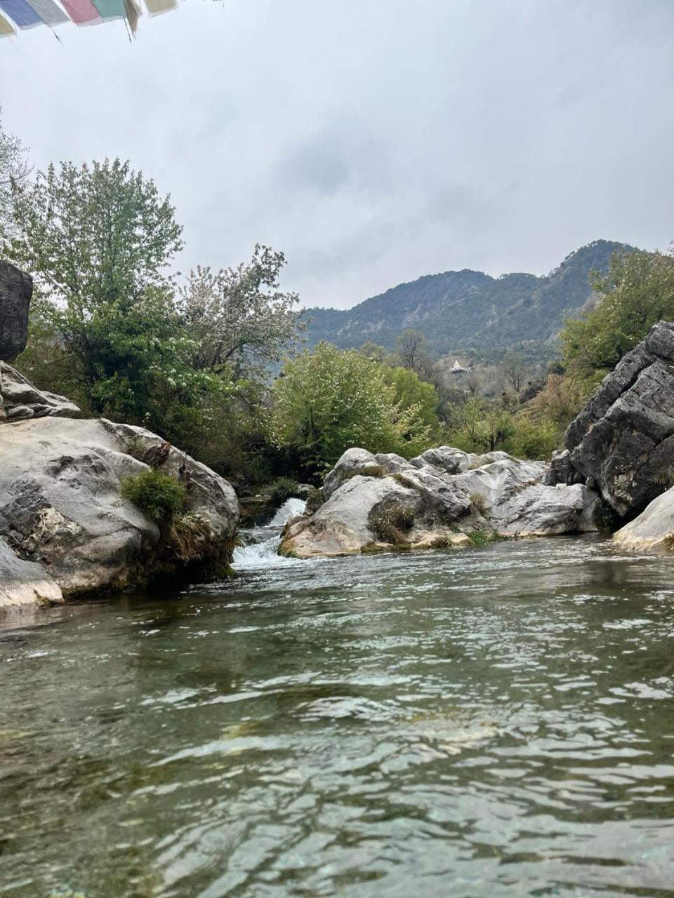 Rivulet Resort & Camping 穆索里 外观 照片